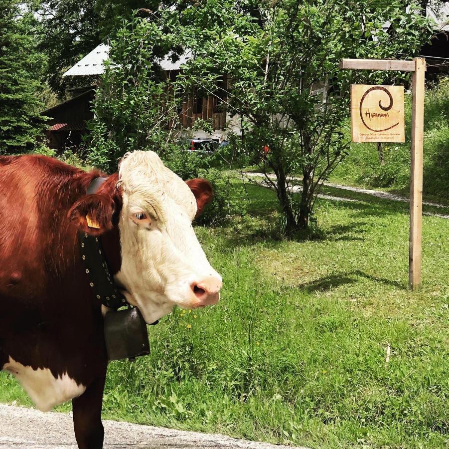 Chapamama Panzió Aillon-le-Vieux Kültér fotó