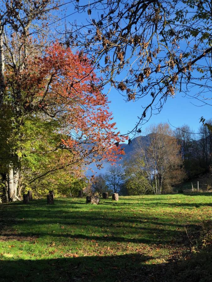 Chapamama Panzió Aillon-le-Vieux Kültér fotó