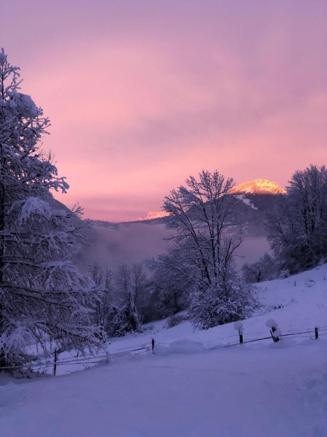 Chapamama Panzió Aillon-le-Vieux Kültér fotó